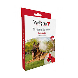 Harnais Licol Noir . Taille  M.  41-56 Cm. Pour Chien. - Vadigran - Va-16817