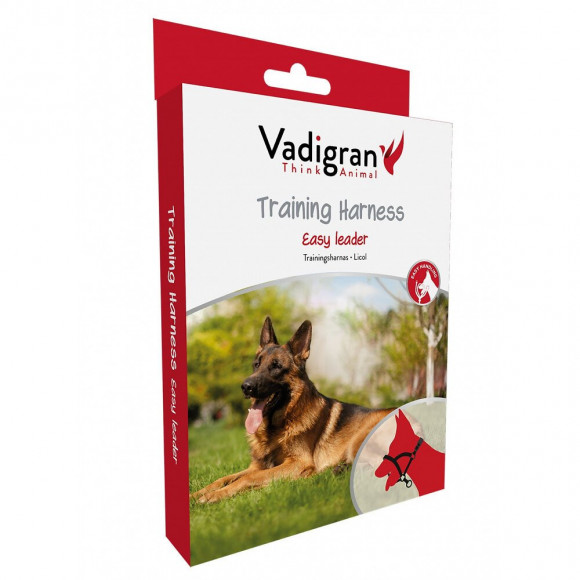 Harnais Licol Noir . Taille  Xl.  52-64 Cm. Pour Chien. - Vadigran - Va-16819