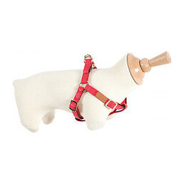 Harnais Imao Mayfair. 15 Mm Rouge Pour Chien. - Zolux - Zo-466771rge