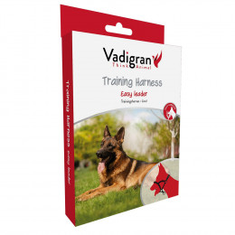 Harnais Licol Noir . Taille  L.  46-62 Cm. Pour Chien. - Vadigran - Va-16818