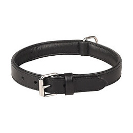 Collier Cuir Arizona Noir. Taille L 40-46 Cm. Pour Chien. - Flamingo Pet Products - Fl-520037