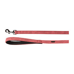 Laisse De 1 Mètre - 20 Mm. Delu, Couleur Rouge, Pour Chien. - Flamingo Pet Products - Fl-519288