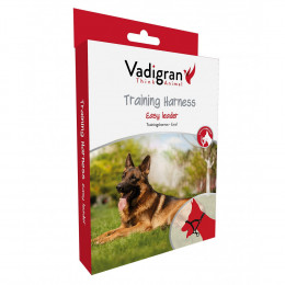 Harnais Licol Noir . Taille S.  31-44 Cm. Pour Chien. - Vadigran - Va-16816