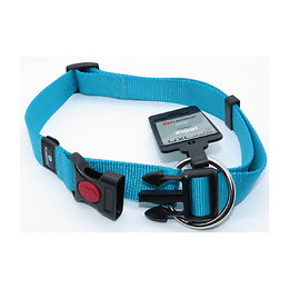 Collier Ziggi Turquoise 45 -65 Cm. 25 Mm . Taille L/xl. Pour Chien. - Flamingo Pet Products - Fl-519872