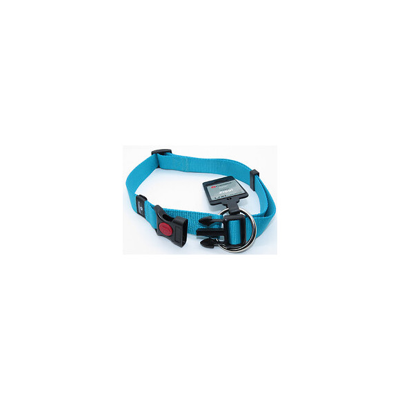 Collier Ziggi Turquoise 45 -65 Cm. 25 Mm . Taille L/xl. Pour Chien. - Flamingo Pet Products - Fl-519872