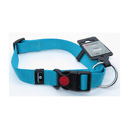 Collier Ziggi Turquoise 45 -65 Cm. 25 Mm . Taille L/xl. Pour Chien. - Flamingo Pet Products - Fl-519872