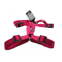 Harnais H Ziggi Rouge Cerise. Tour De Cou 60 -85 Cm. 25 Mm . Taille Xxl. Pour Chien. - Flamingo Pet Products - Fl-519926