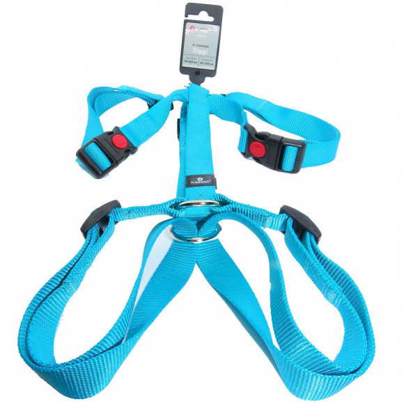Harnais H Ziggi Turquoise. Tour De Cou 70 -110 Cm. 25 Mm . Taille Xxl+. Pour Chien. - Flamingo Pet Products - Fl-519883