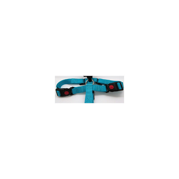 Harnais H Ziggi Turquoise. Tour De Cou 45 -65 Cm. 20 Mm . Taille L/xl. Pour Chien. - Flamingo Pet Products - Fl-519881