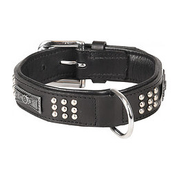 Collier Cuir Sedona Noir. Taille S/m 31-35 Cm. Pour Chien. - Flamingo Pet Products - Fl-520050