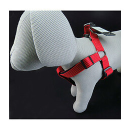 Harnais Jannu Rouge. Taille L 40-70 Cm 25 Mm.  Pour Chien - Flamingo Pet Products - Fl-516947