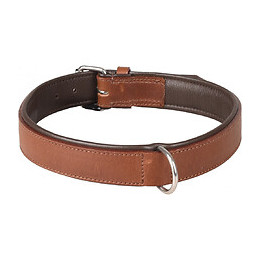 Collier Cuir Arizona Brun. Taille Xl 45-55 Cm. Pour Chien. - Flamingo Pet Products - Fl-520047