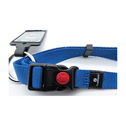 Collier Ziggi Bleu 40 -55 Cm. 20 Mm . Taille M. Pour Chien. - Flamingo Pet Products - Fl-519893