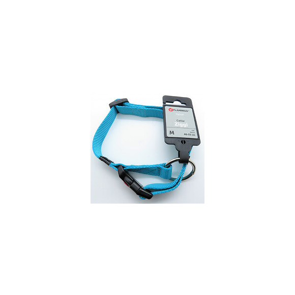 Collier Ziggi Turquoise 40 -55 Cm. 20 Mm . Taille M. Pour Chien. - Flamingo Pet Products - Fl-519871