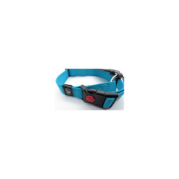 Collier Ziggi Turquoise 40 -55 Cm. 20 Mm . Taille M. Pour Chien. - Flamingo Pet Products - Fl-519871