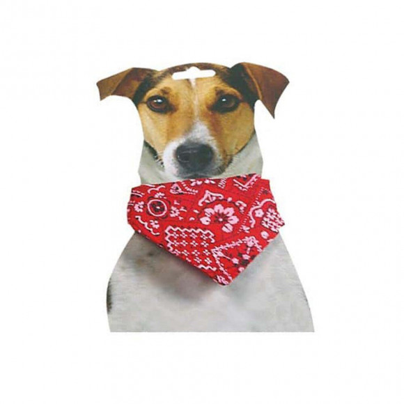 Collier Bandana, 25 À 40 Cm X 15 Mm, Rouge, Pour Chiens. - Flamingo Pet Products - Fl-505759