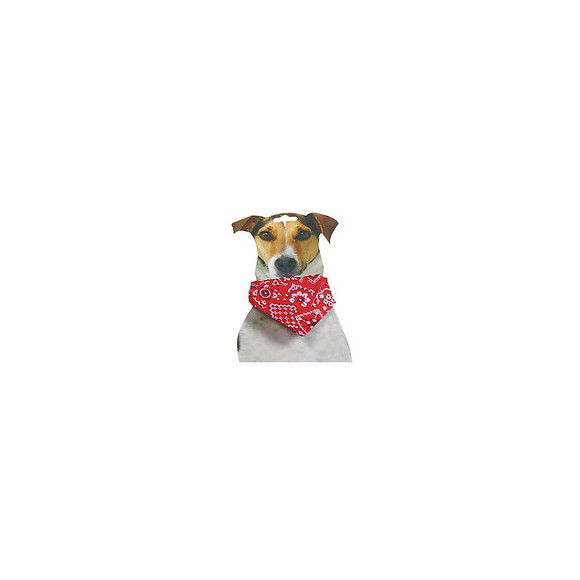 Collier Bandana, 25 À 40 Cm X 15 Mm, Rouge, Pour Chiens. - Flamingo Pet Products - Fl-505759