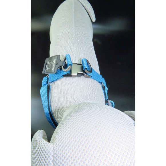 Harnais Jannu Bleu. Taille Xs 20-35 Cm 15 Mm.  Pour Chien - Flamingo Pet Products - Fl-516939