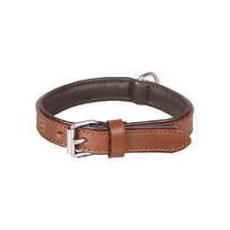 Collier Cuir Arizona Brun. Taille S 26-32 Cm. Pour Chien. - Flamingo Pet Products - Fl-520042