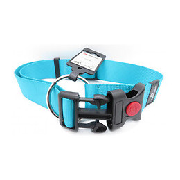 Collier Ziggi Turquoise 55 -75 Cm. 40 Mm . Taille Xxl. Pour Chien. - Flamingo Pet Products - Fl-519873