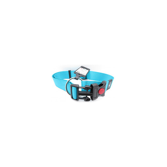 Collier Ziggi Turquoise 55 -75 Cm. 40 Mm . Taille Xxl. Pour Chien. - Flamingo Pet Products - Fl-519873