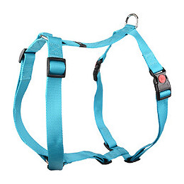 Harnais H Ziggi Turquoise. Tour De Cou 35 -50 Cm. 15 Mm . Taille S/m. Pour Chien. - Flamingo Pet Products - Fl-519880