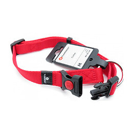 Collier Ziggi Rouge 40 -55 Cm. 20 Mm . Taille M. Pour Chien. - Flamingo Pet Products - Fl-5363647