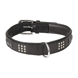 Collier Cuir Sedona Noir. Taille Xxl 51-60 Cm. Pour Chien. - Flamingo Pet Products - Fl-520055