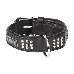 Collier Cuir Sedona Noir. Taille S 26-31 Cm. Pour Chien. - Flamingo Pet Products - Fl-520049