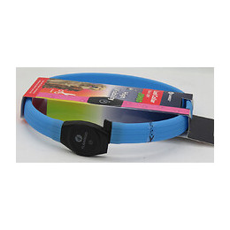 Collier Jumbo De 35 À 64 Cm. Visio Light Led. Couleur Bleu - Flamingo Pet Products - Fl-519765