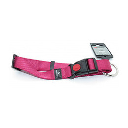 Collier Ziggi Rouge Cerise 45 -65 Cm. 25 Mm . Taille L/xl. Pour Chien. - Flamingo Pet Products - Fl-519916
