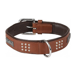 Collier Cuir Sedona Brun. Taille L/xl 43-50 Cm. Pour Chien. - Flamingo Pet Products - Fl-520060