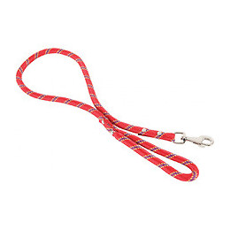 Laisse En Nylon. Corde Ø 13 Mm  X 6 Mètres. Rouge . Pour Chien. - Zolux - Zo-543760ro