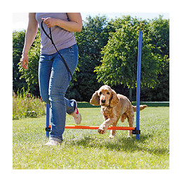 Trixie Dog Activity Obstacle Agility Pour Chien
