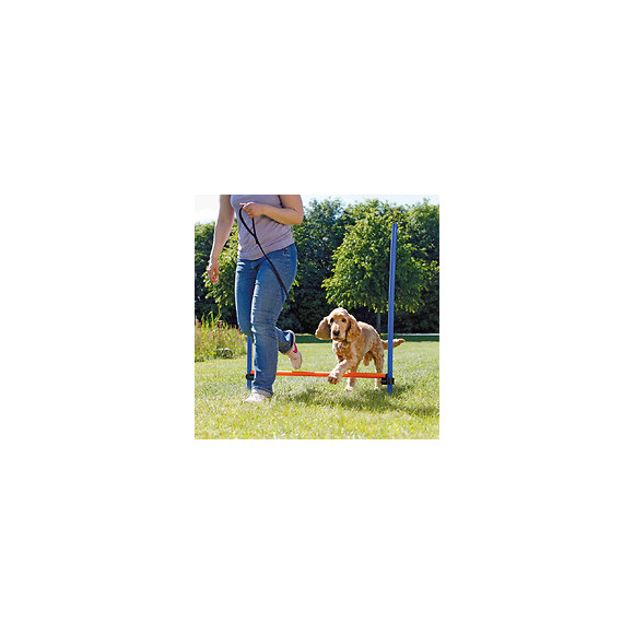 Trixie Dog Activity Obstacle Agility Pour Chien