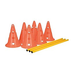 Trixie Lot De 3 Activites Dobstacle - O 23 X 30 Cm - 78 Cm - Orange Et Jaune - Pour Chien
