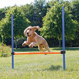 Trixie Dog Activity Obstacle Agility Pour Chien