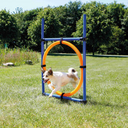 Anneau Agility. 115 × Ø 3 Cm, Ø 65 Cm.  Pour Chien . - Trixie - Tr-3208