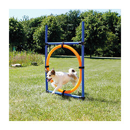 Anneau Agility. 115 × Ø 3 Cm, Ø 65 Cm.  Pour Chien . - Trixie - Tr-3208