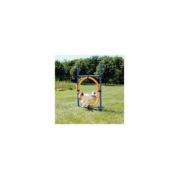 Anneau Agility. 115 × Ø 3 Cm, Ø 65 Cm.  Pour Chien . - Trixie - Tr-3208