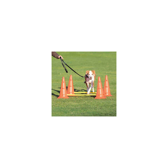 Set D'obstacles Pour Chien - 4 Cône - Agility - Trixie - Tr-32092