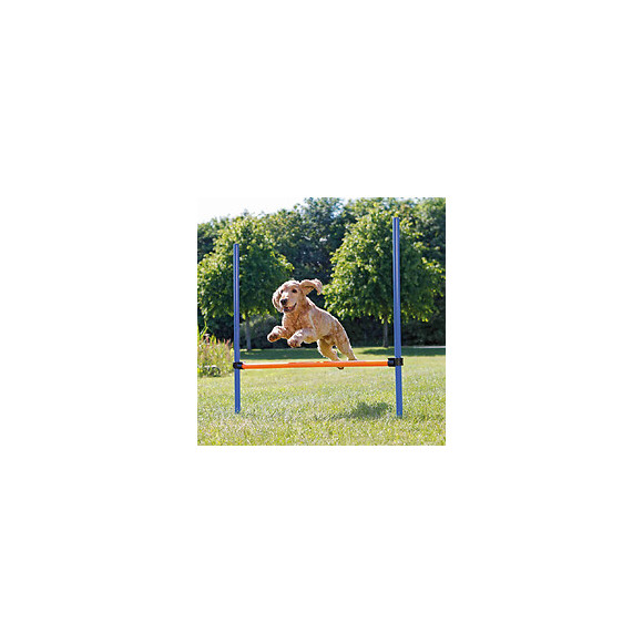 Trixie Dog Activity Obstacle Agility Pour Chien