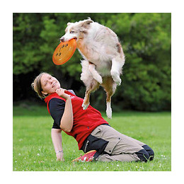 Disque D'activité "dog Disc " Ø 19 Cm - Trixie - Tr-33561