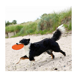 Frisbee. Dog Disc, Tpr, Flottant Pour Chiens. Ø 22 Cm. Coloris: Aléatoires. - Trixie - Tr-33506