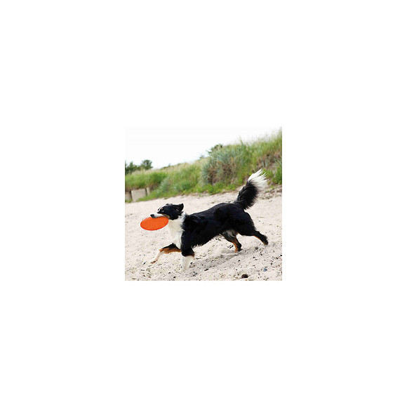 Frisbee. Dog Disc, Tpr, Flottant Pour Chiens. Ø 22 Cm. Coloris: Aléatoires. - Trixie - Tr-33506