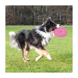 Jouet  Flash Dog Disc  Frisbee 20 Cm Pour Chien - Trixie - Tr-33645