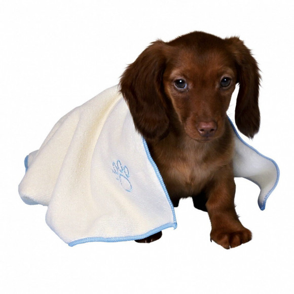 Set Pour Chiots Bleu - Trixie - Tr-15588