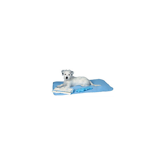 Set Pour Chiots Bleu - Trixie - Tr-15588