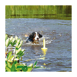 Jeu Aquatique Mot®-aqua, Pour Chien - Trixie - Tr-32331