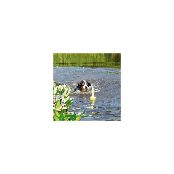 Jeu Aquatique Mot®-aqua, Pour Chien - Trixie - Tr-32331